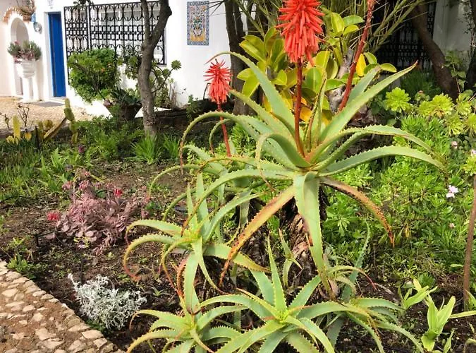 빌라 Charming With Heated Pool Near Sandy Beach, Hiking, Golf And Wineries Senhora da Luz