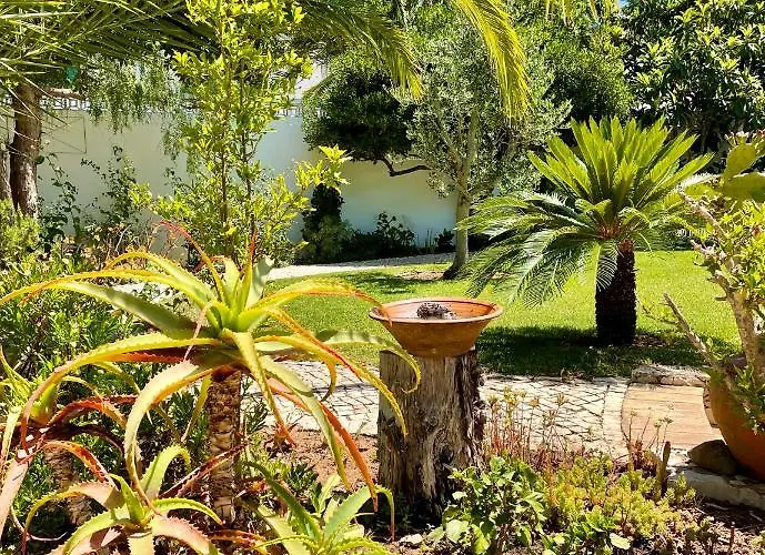 Charming With Heated Pool Near Sandy Beach, Hiking, Golf And Wineries 빌라 Senhora da Luz