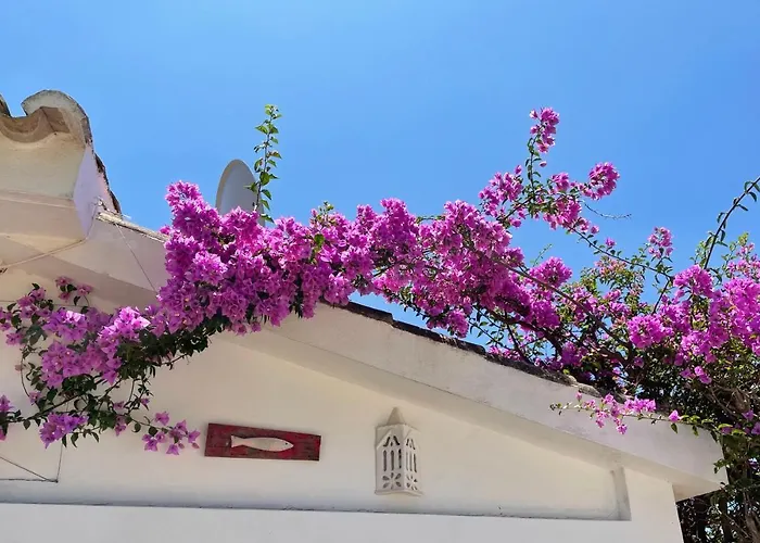 Charming With Heated Pool Near Sandy Beach, Hiking, Golf And Wineries 빌라 Senhora da Luz