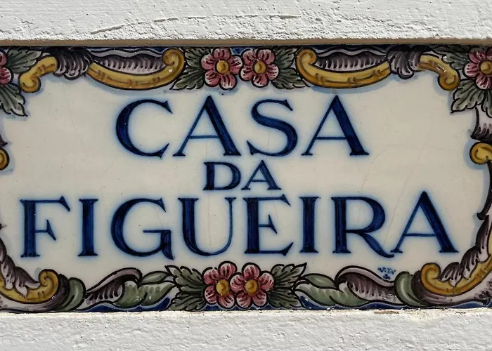 Charming With Heated Pool Near Sandy Beach, Hiking, Golf And Wineries 빌라