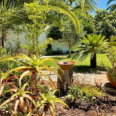 Charming With Heated Pool Near Sandy Beach, Hiking, Golf And Wineries Villa Praia Da Luz
