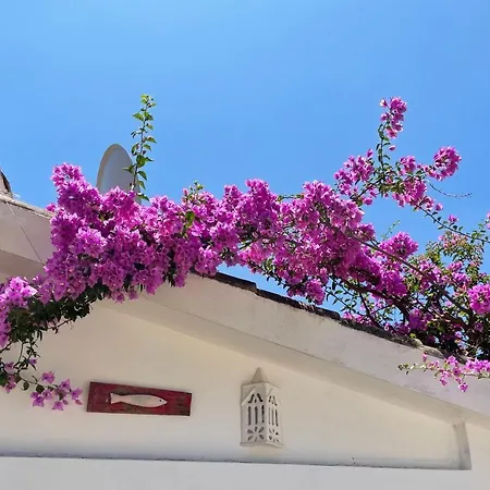 Charming With Heated Pool Near Sandy Beach, Hiking, Golf And Wineries Villa Praia Da Luz