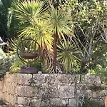 Charming With Heated Pool Near Sandy Beach, Hiking, Golf And Wineries וילה *