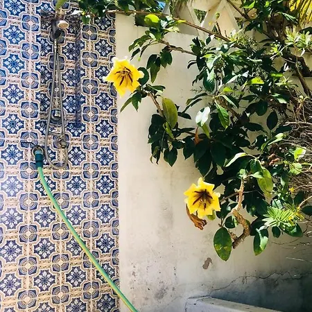 Вилла Charming With Heated Pool Near Sandy Beach, Hiking, Golf And Wineries Praia Da Luz