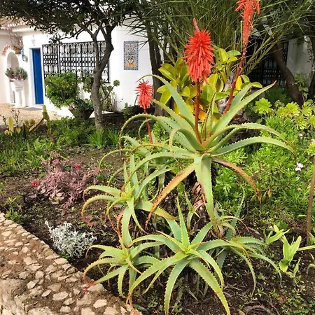 Вилла Charming With Heated Pool Near Sandy Beach, Hiking, Golf And Wineries Praia Da Luz